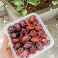 خرما کبکاب عمده وخرده