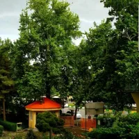 افروش آپارتمان|فروش آپارتمان|مشهد, آپارتمان های مرتفع|دیوار