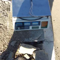 ترازوی میوه فروشی وسوپر مارکت در حدنو