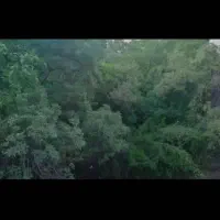 واحد125متری-ازگل-لوکیشن-کوچه-باغی