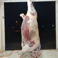 گوشت تازه بره و گوساله کرمانشاه، تضمین کیفیت|خوردنی و آشامیدنی|تهران, ترمینال غرب|دیوار