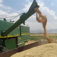 جو آبی تمیز برداشت امسال|خدمات باغبانی و درختکاری|شهرکرد, |دیوار