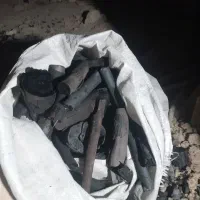 خانم برای تمیز کاری اسب خوراک