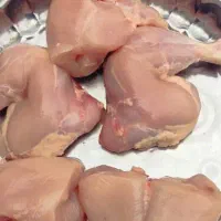 صندوقدار مرغ و ماهی وگوشت