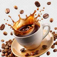 خانم جهت کار در کافه ،آموزش رایگان باریستایی