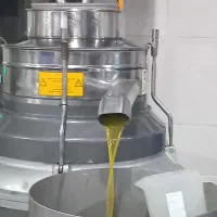 روغن زیتون اصل شمال