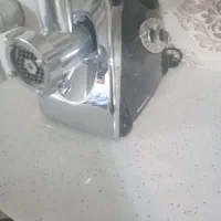 چرخ گوشت گاسونیک