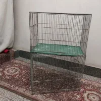قفس پرنده|لوازم جانبی حیوانات|ارومیه, |دیوار