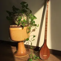 سه تار حرفه ای
