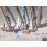 بیل و گنگ کاملا سالم