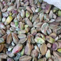 مغز پسته خام