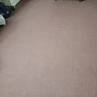موکت|موکت|نیشابور, کریم آباد|دیوار