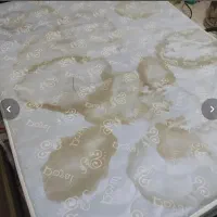 مبل شویی تخصصی کلاسیک|خدمات نظافت|هچیرود, |دیوار