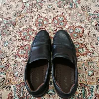 کفش مجلسی