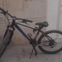 دوچرخه ویوا اصلی