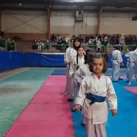 آموزش رزمی کاراته