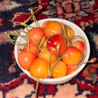 گیلاس پرتقالی خاکو