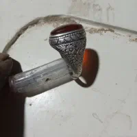 انگشتر قدیمی|کلکسیون اشیاء عتیقه|سرولایت, |دیوار