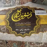 فرش|فرش|شیراز, قلعه شاهزاده بیگم|دیوار