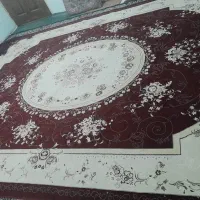 جفت فرش ۱۲ متری|فرش|یزد, |دیوار