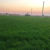اجاره زمین کشاورزی،زهکلوت|اجارهٔ دفتر صنعتی، کشاورزی، تجاری|جازموریان, |دیوار