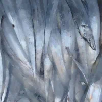 ناخدا هستم همراه ۳تا جانشو