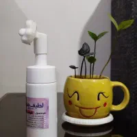 فیس واش|آرایشی، بهداشتی، درمانی|شیراز, شهرک کوشکک|دیوار