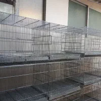 قفس پژاوند در حد نو