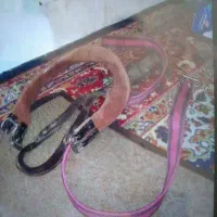 زین اسب|اسب و تجهیزات اسبسواری|کاشان, کوشک صفی|دیوار