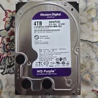 هارد ۴ترا بایت WD بنفش