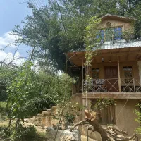 اجاره کلبه درختی و سوییت کاهگلی