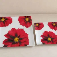 ظروف پذیرایی و آشپزخانه