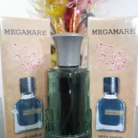 فروش انواع ادکلن شرکتی به قیمت عمده|آرایشی، بهداشتی، درمانی|کهنوج, |دیوار