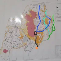 سرمایه گذاری کاشت سیب زمینی