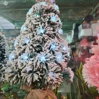 وارد کننده کاج کریسمس|گل مصنوعی|پاکدشت, پاکدشت (مامازند)|دیوار