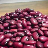 لوبیا قرمز