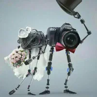 تصویر برداری از مجالس|خدمات پذیرایی، مراسم|همدان, |دیوار