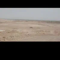 زمین ۲۰۰۰متری مخصوص دام سبک وسنگین