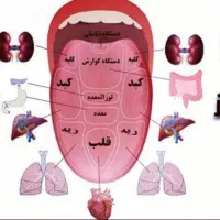 زبان‌شناسی‌ودرمان و.چای‌های‌متنوع‌درمانی|خدمات آرایشگری و زیبایی|جوانرود, |دیوار