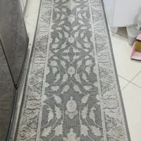 کنار و پادری