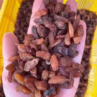 افتابی شسته شده