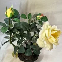 گل و گلدان رز مصنوعی خارجی وارداتی (توضیحات)|گل مصنوعی|تهران, شهرک غرب|دیوار