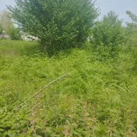 فروش زمین مسکونی