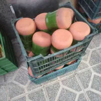 ظروف سفالی تک نفره ودونفره وتخته گوشت