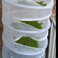 توری سبزی ومیوه خشک کن