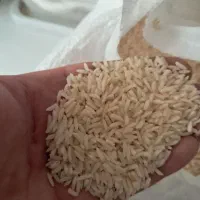 برنج هاشمی گیلان|خوردنی و آشامیدنی|تهران, طیب|دیوار
