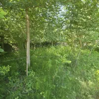 ۲۲۰ متر زمین  مسکونی  با پروانه ساخت