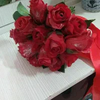 لباس مجلسی|لباس|رشت, کوی مهر|دیوار