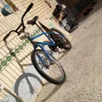 دوچرخه ۲۰تنه اساک