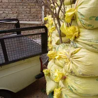 کود گوسفندی